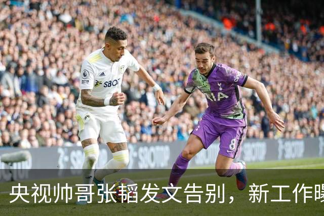 央视帅哥张韬发文告别，新工作曝光，与龙洋隐婚传闻已水落石出